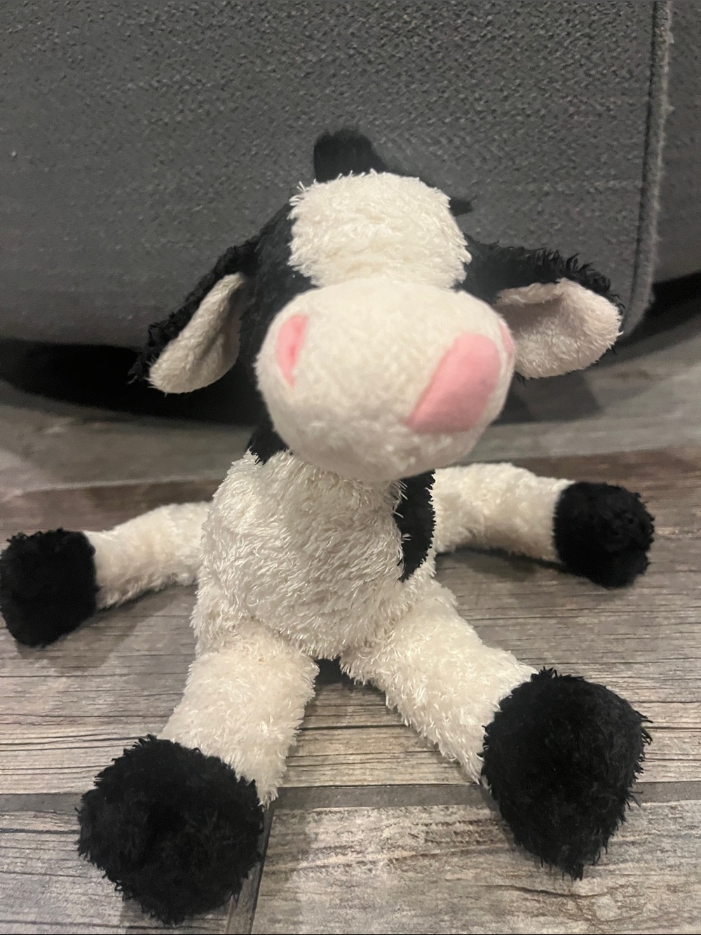 Douglas cow